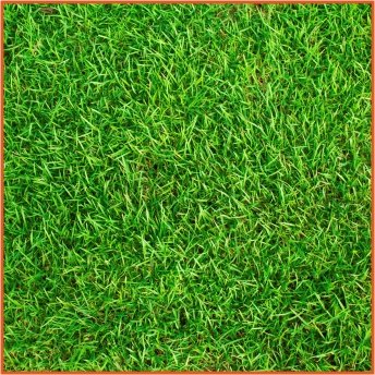 Cam veya MDF Dijital Baskı 5